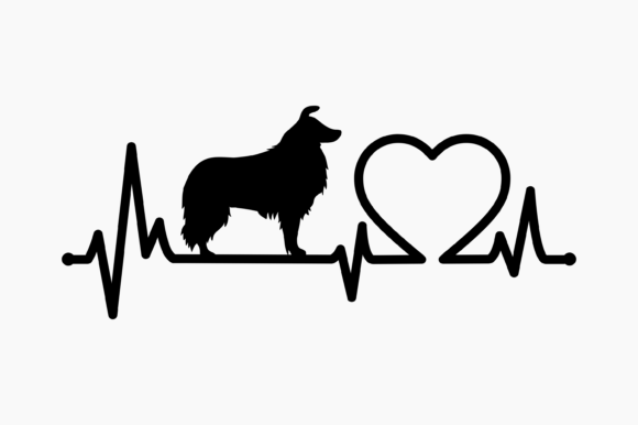 Dog Border Collie Heartbeat