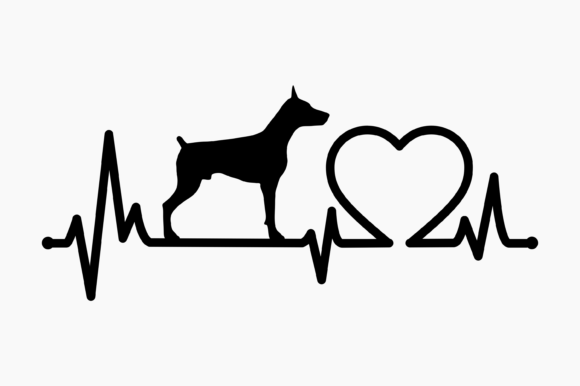 Dog Doberman Heartbeat