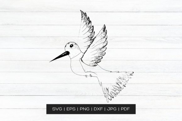 Hand Drawn Vector Bird